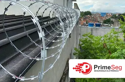 concertina para muro